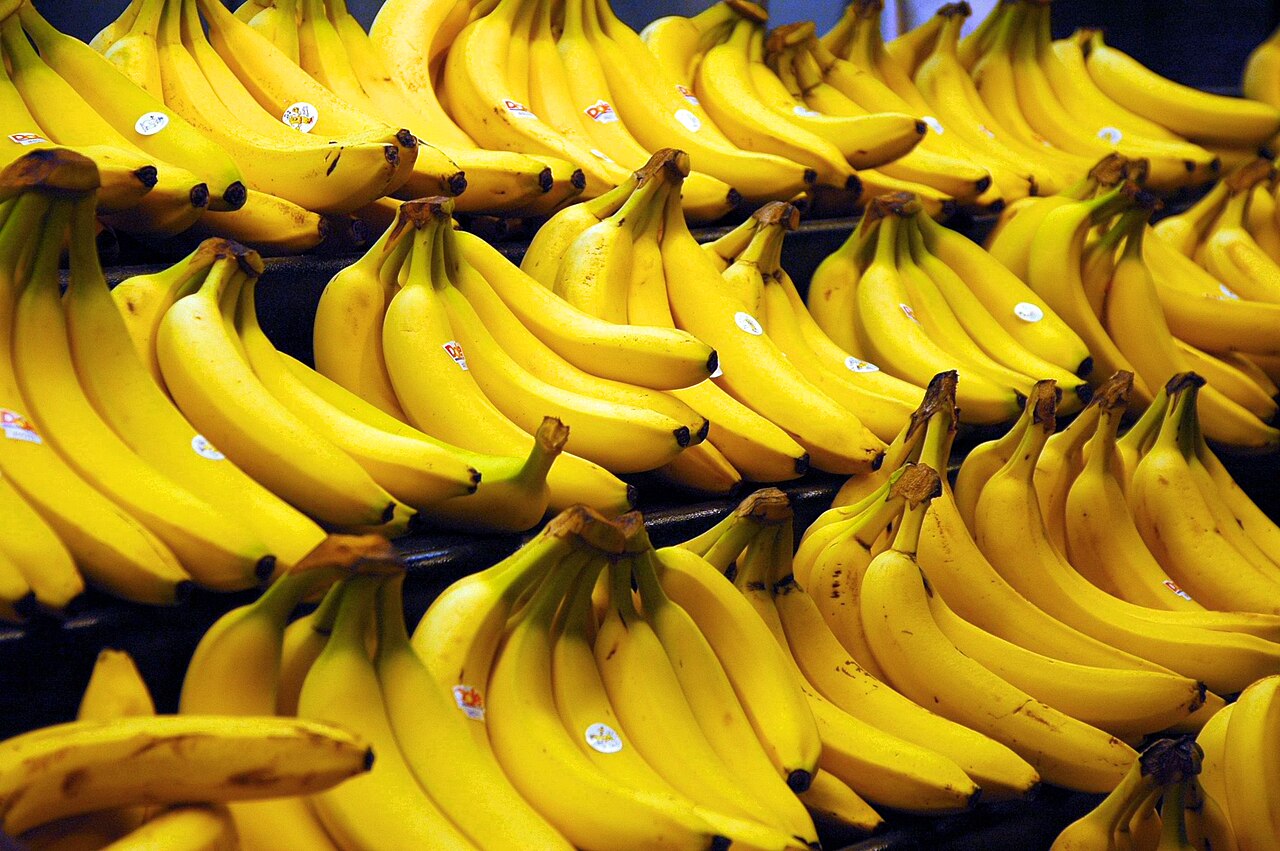 Banane gialle in bella vista sul banco del fruttivendolo