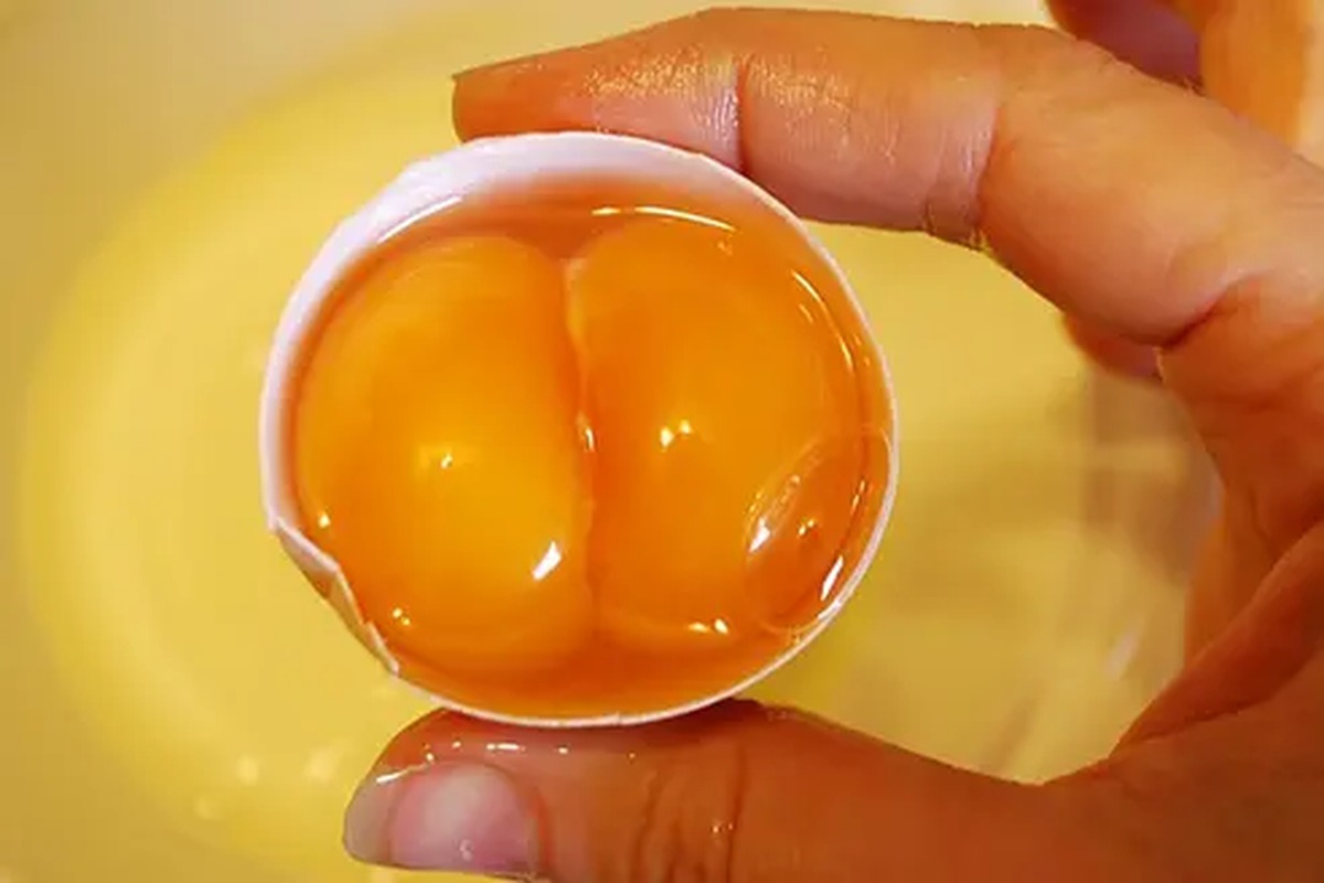 Un guscio aperto con due tuorli, tenuto tra le dita